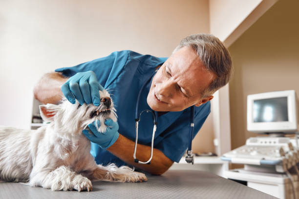 Best Emergency Treatment for Oral Infections in Zellwood, FL